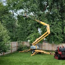 Lawn Grading and Leveling in West Clarkston Highland, WA