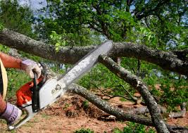 Best Lot and Land Clearing  in West Clarkston Highland, WA