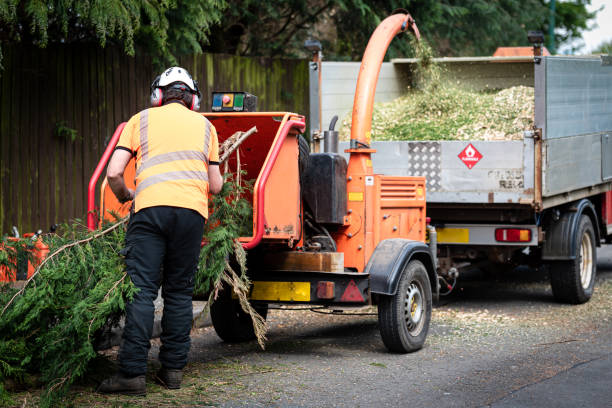 Best Artificial Turf Installation  in West Clarkston Highland, WA